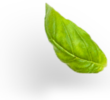 Best pressure cooker manufacturers in india, Stainless Steel Pressure Cooker Manufacturers, Stainless Steel Pressure Cooker in India