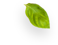 Pashupati Udyog:Best pressure cooker manufacturers, pressure cooker manufacturers in Delhi, Hard anodized pressure cooker manufacturers in india